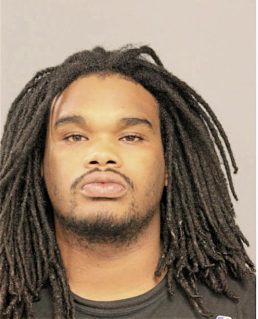 RAJE S FORD, Cook County, Illinois