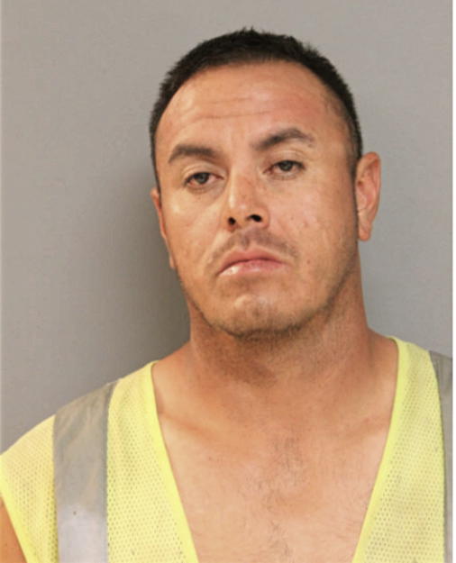 SALVADOR M GARCIA, Cook County, Illinois