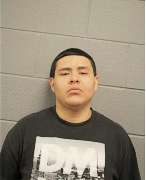 ALEJANDRO H GONZALEZ, Cook County, Illinois