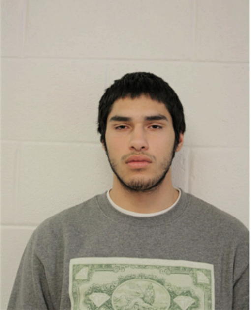 RENO J GONZALEZ, Cook County, Illinois