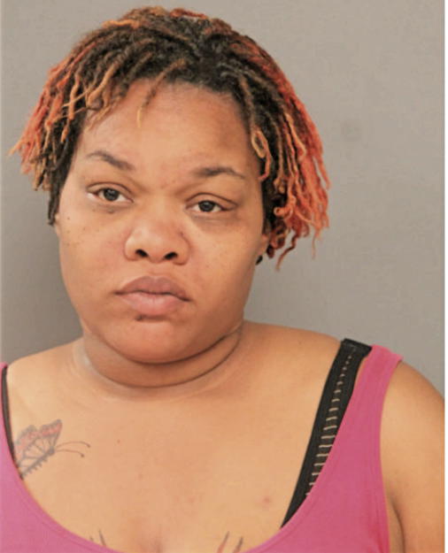TARAH N HAFFORD-PIERCE, Cook County, Illinois