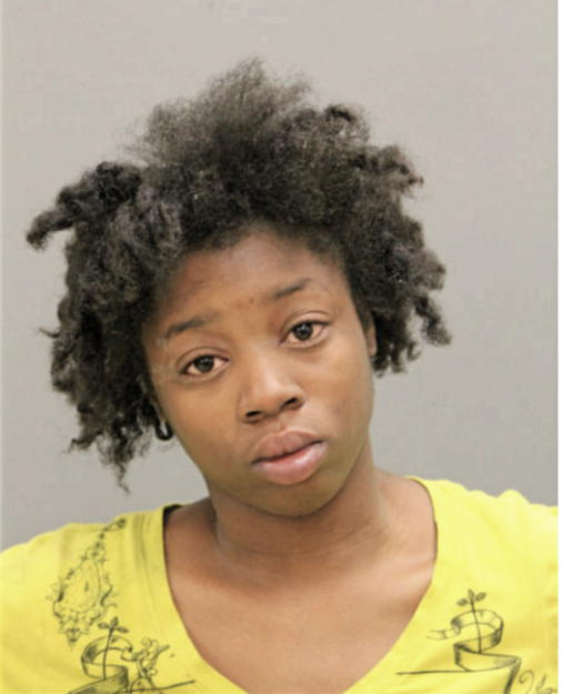SHEKINA S HOLLIS, Cook County, Illinois