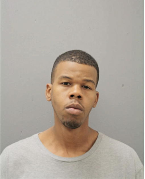 MICHAEL A JOHNSON, Cook County, Illinois