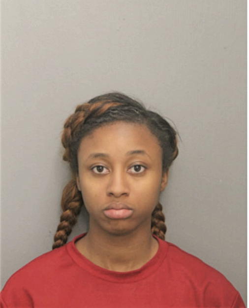 TANIESHA S JOHNSON, Cook County, Illinois