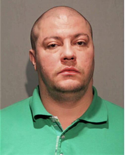 MICHAEL J KELLY, Cook County, Illinois