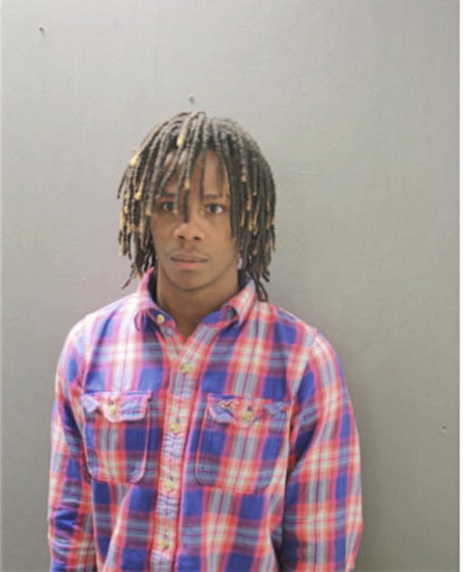 LAVONTE LANE, Cook County, Illinois