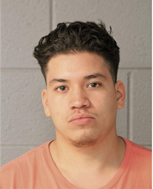 LUIS LEMUS, Cook County, Illinois