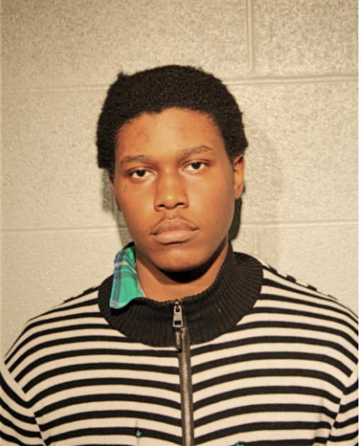 ROBIN LINZY, Cook County, Illinois