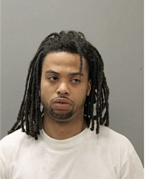 MICHAEL K LYONS, Cook County, Illinois