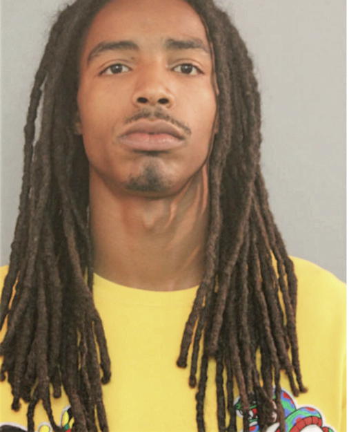 LENARD MCKINNIS, Cook County, Illinois