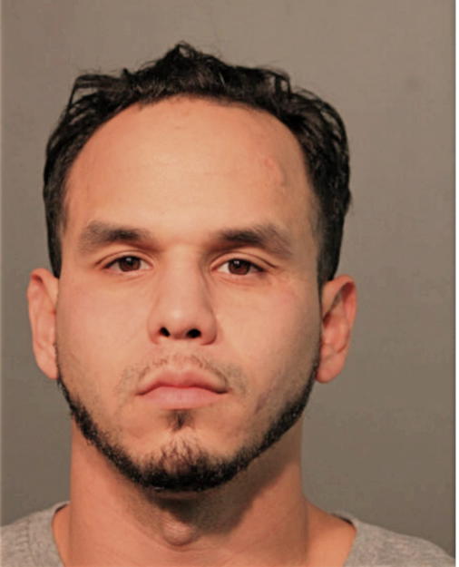 EDGAR A MEZA, Cook County, Illinois