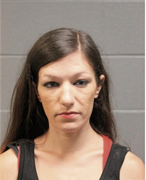 MICHELLE R MONIAN, Cook County, Illinois