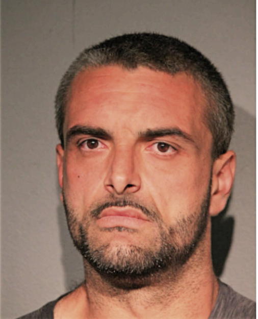 SLAVKO NISZVIC, Cook County, Illinois