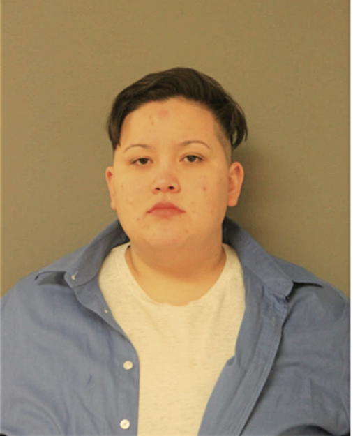 DIANA J OCHOA, Cook County, Illinois