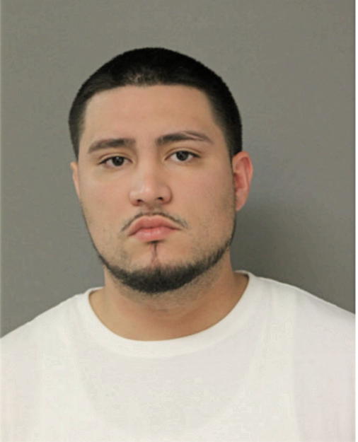FABIO V ORTIZ, Cook County, Illinois