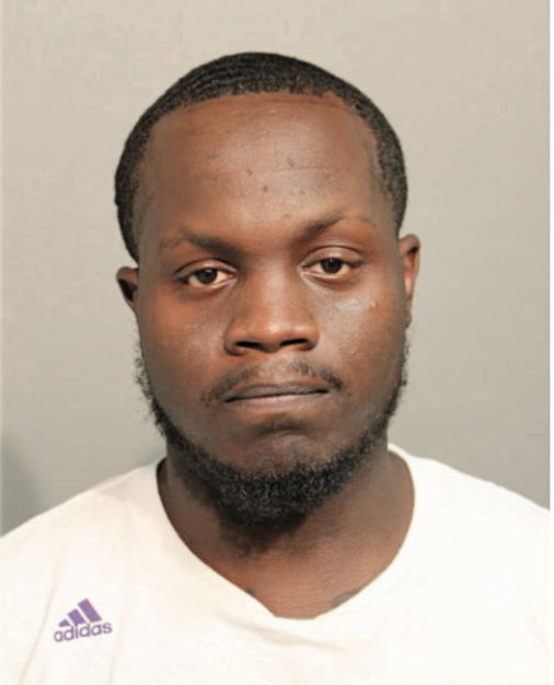LEMARIO D RAYMON, Cook County, Illinois