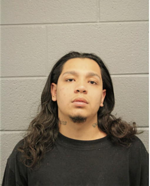FRANSISCO E ROCHA, Cook County, Illinois