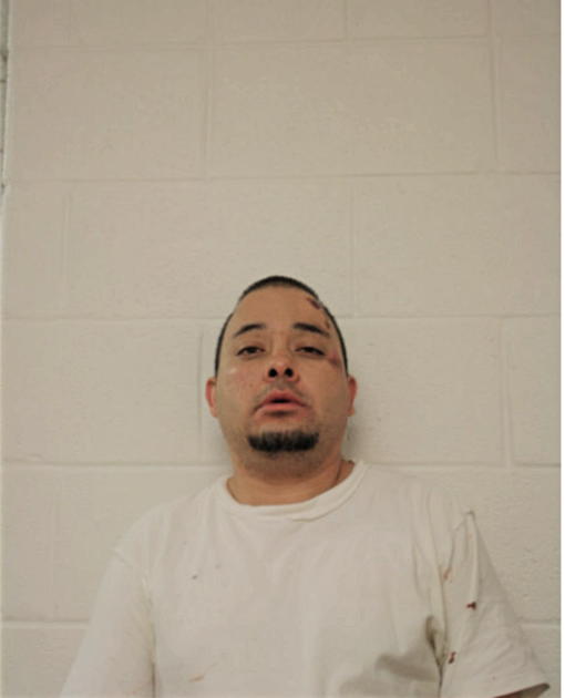 HUGO SANTOS, Cook County, Illinois