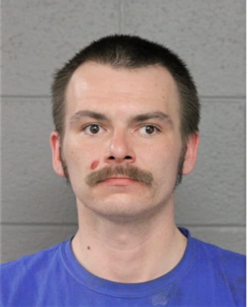 MICHAEL E SCHMIDT, Cook County, Illinois