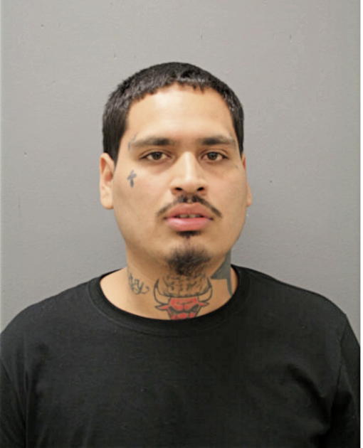 GENARO S SOTO-GREER, Cook County, Illinois