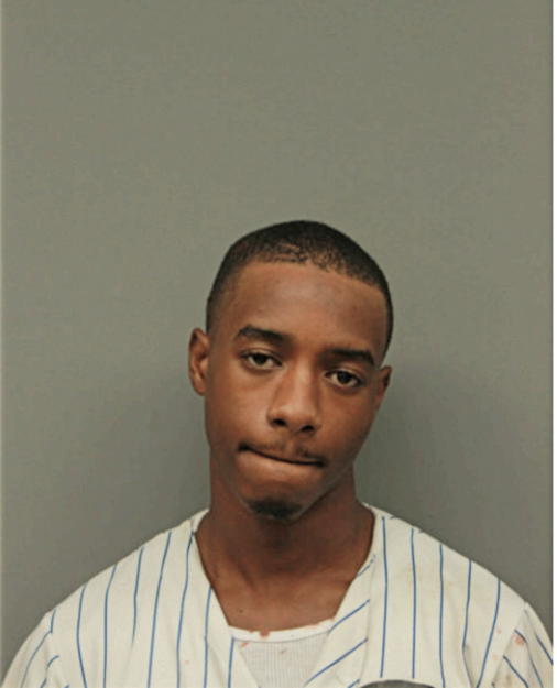 TYREL J STORNES, Cook County, Illinois