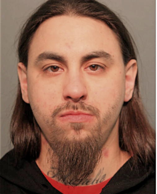 JOE J TERRONES, Cook County, Illinois