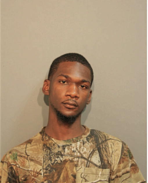 JOSEPH L WHITE, Cook County, Illinois