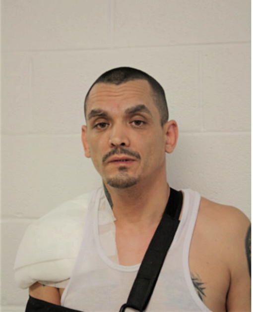 ANTHONY C WOODMAN, Cook County, Illinois