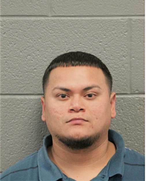 LUIS ALAMO, Cook County, Illinois