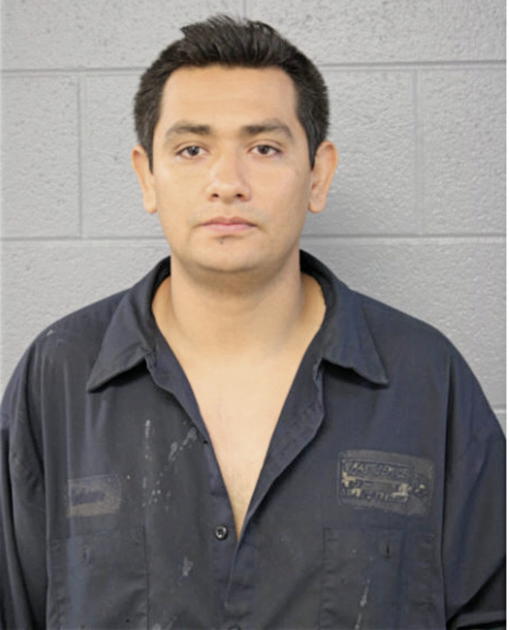 ISMAEL R ALVARADO, Cook County, Illinois
