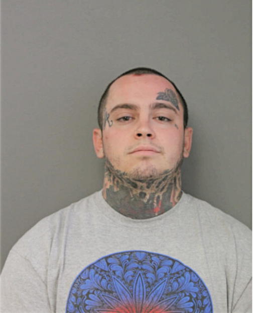 JOHN P ANNARENO, Cook County, Illinois