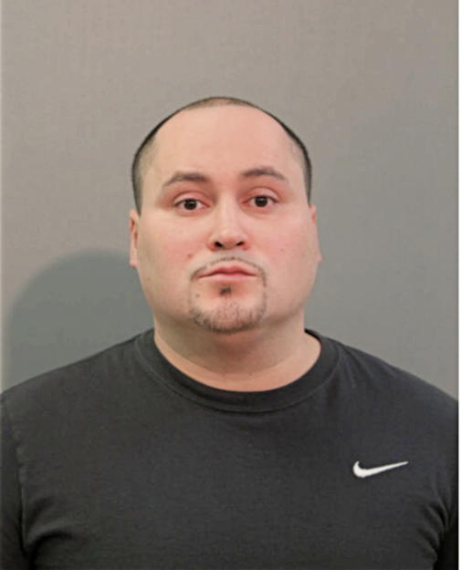 ANGEL M BAEZ, Cook County, Illinois
