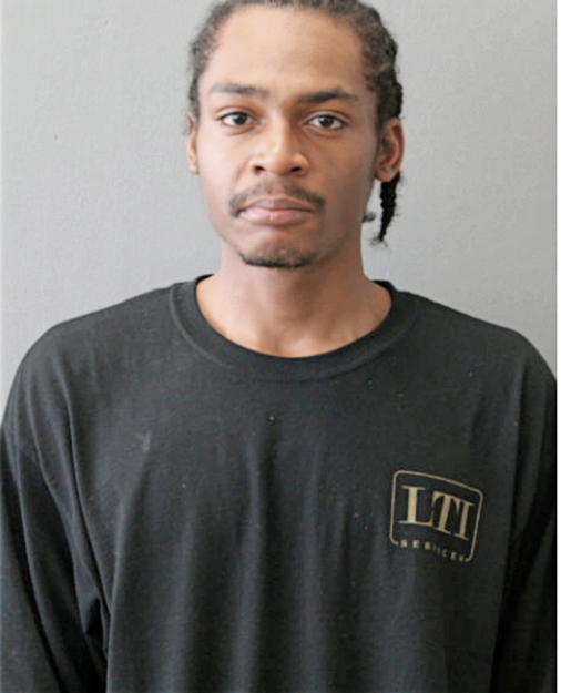 DION L BELL, Cook County, Illinois
