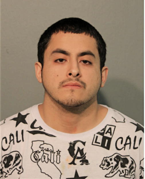 MICHAEL A CAMARENA, Cook County, Illinois