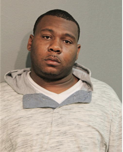 DAVID M ENGLISH, Cook County, Illinois
