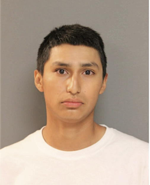 FRANCISCO X FLORES, Cook County, Illinois