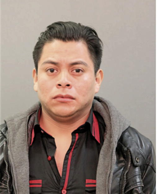 FELIPE C GODOS, Cook County, Illinois