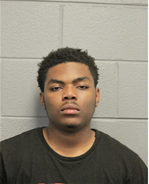 WILLIAM D HATHORNE, Cook County, Illinois