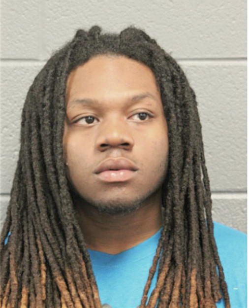MICHAEL KJ JENKINS, Cook County, Illinois