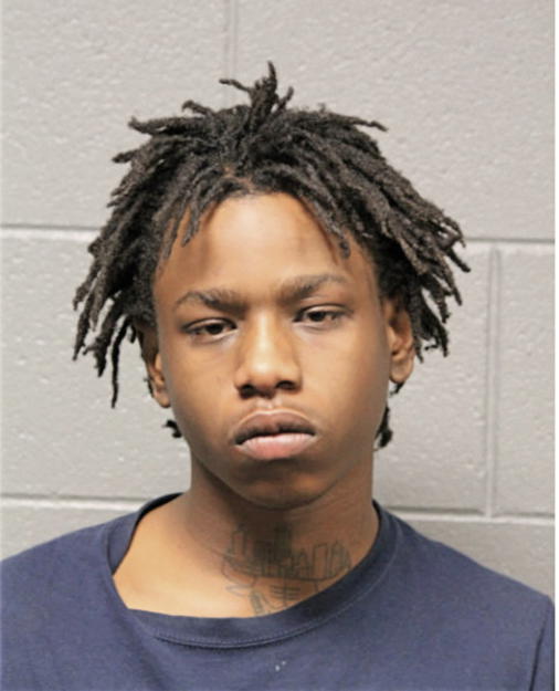 DARRIUS L ANDERSON, Cook County, Illinois