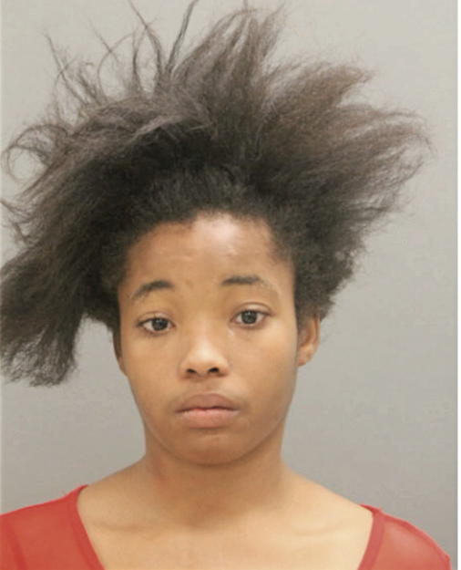 DANIELLE S MCBRIDE, Cook County, Illinois