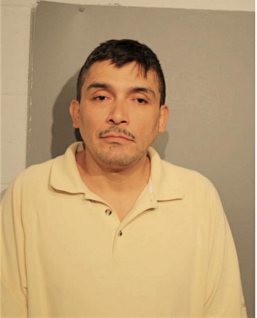 JOSE G NAVA, Cook County, Illinois