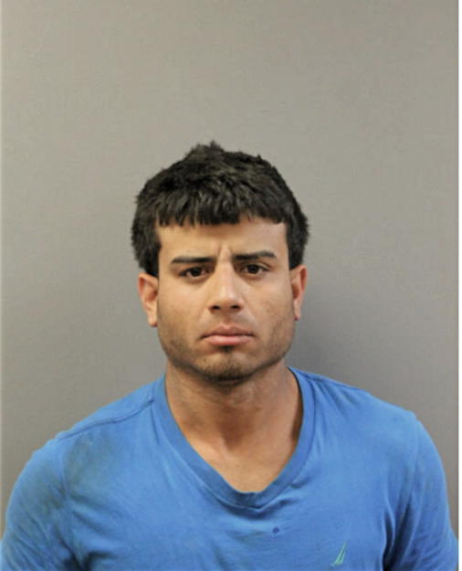 DAVID E RODRIGUEZ-TIRADO, Cook County, Illinois
