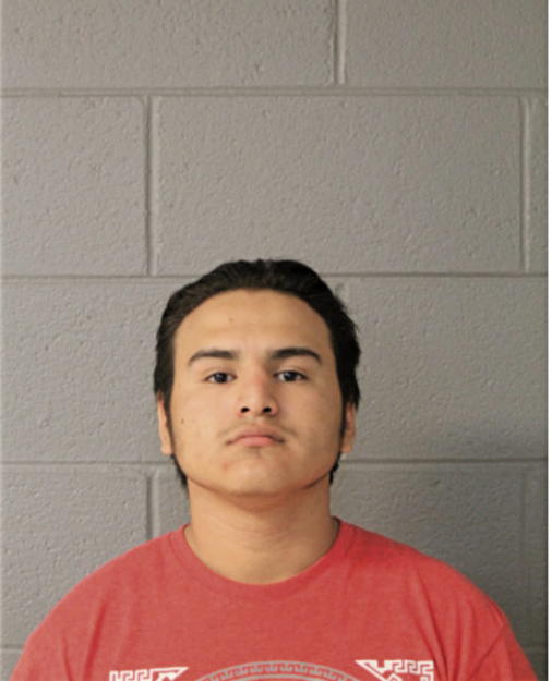 JORGE ALBERTO SALINAS, Cook County, Illinois