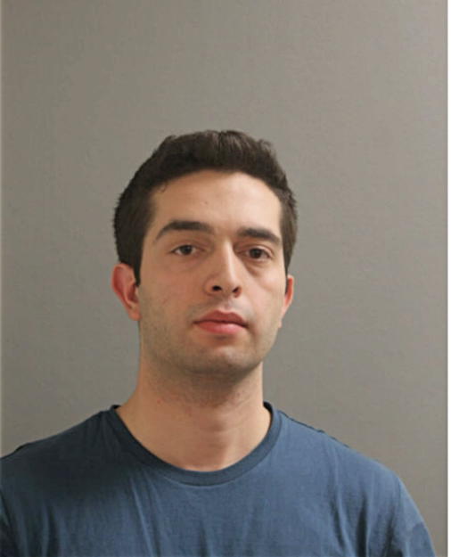 CHRISTIAN P SILVA, Cook County, Illinois