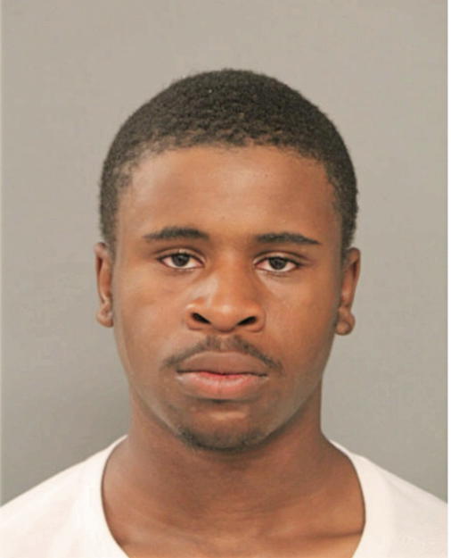 GEORGE G WILLIAMS, Cook County, Illinois