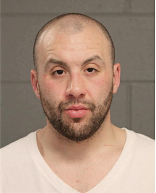 ZIAD W ABUZIR, Cook County, Illinois