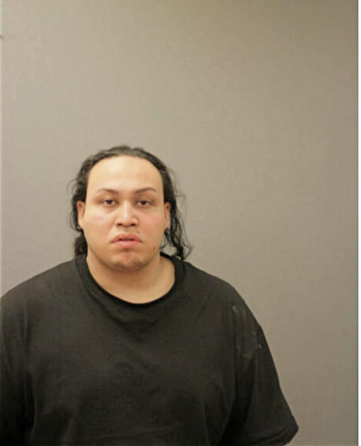 ANGEL L BATISTA, Cook County, Illinois