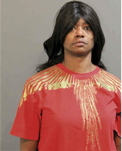ANGELA L BROWN, Cook County, Illinois