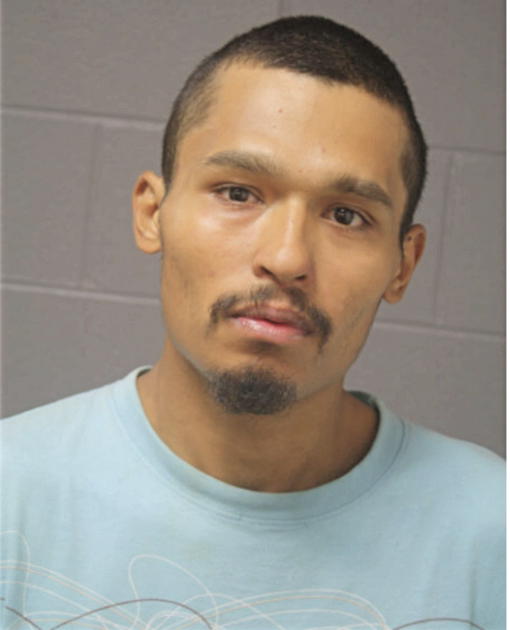 DAVID C CALVILLO, Cook County, Illinois